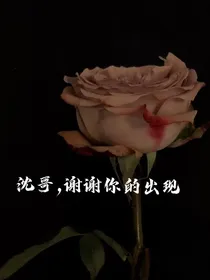 沈哥，谢谢你的出现