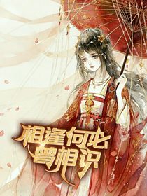 新葫之相逢何必曾相识（缓）-d395