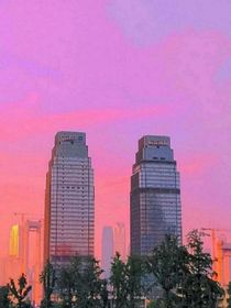 TNT：专属玫瑰