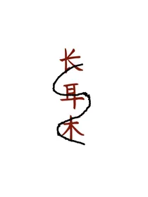 长耳木