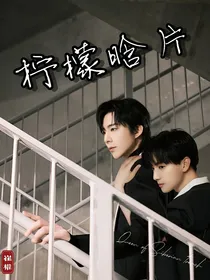 柠檬晗片