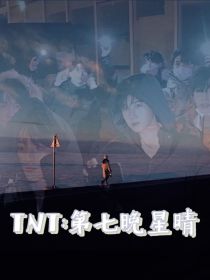 TNT：第七晚星晴
