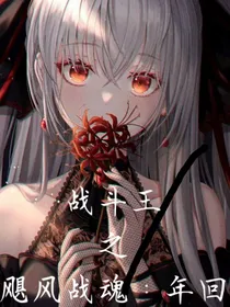 战斗王之飓风战魂：年回