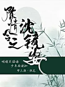 陈情令之沈镜安