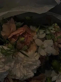 鸦与玫瑰