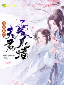穿越：我的夫君爱爬墙