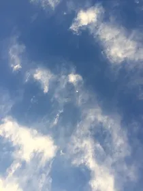 重生之我的系统世界
