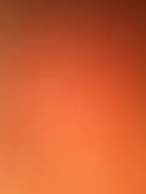 突达怀孕