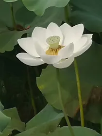 果然上学什么的不行