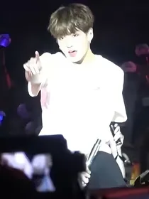 BTS：桃花醉