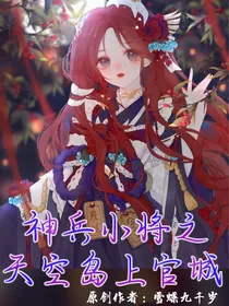 神兵小将之天空岛上官城