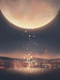 穿越各大万千世界