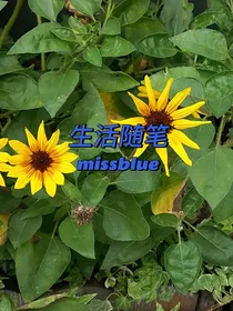 生活随笔missblue