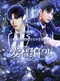 R1SE：爱情编码