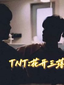 TNT：花开三落