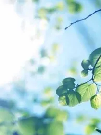 我行我素：大爱女配