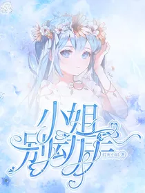 小姐别动手