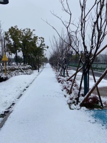 今天下雪了