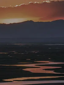 栀子味情话