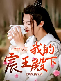 陈情令之我的宸王殿下