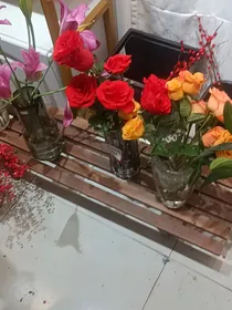 软萌妹子