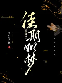 嘉南传：佳期如梦