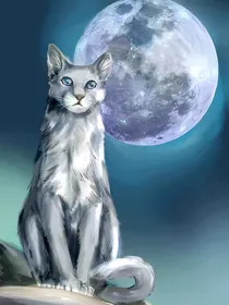 猫武士：新的族群