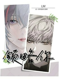 领略你