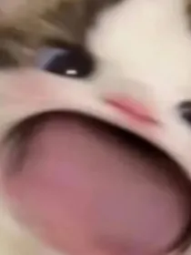 我青春里的憨憨男孩