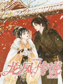 星学院之龙凤传说