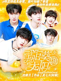 TNT：向日葵和太阳