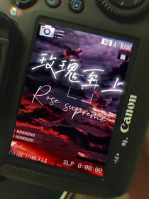 玫瑰至上123