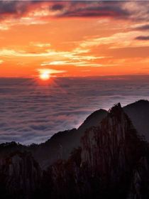 原创：东山再起