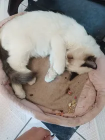 我的人生自己做主