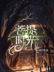 HP：菩提时光