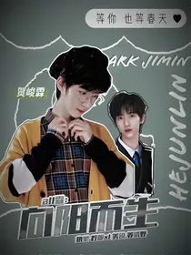 all霖：向阳而生