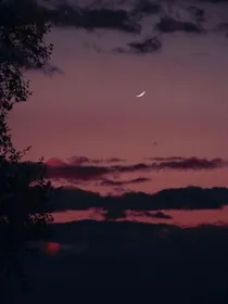 突然末世了肿么办