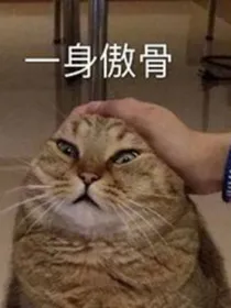 燃晚同人文章-d327