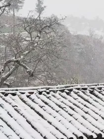 致我们最好的三年