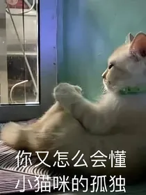 瞭望塔