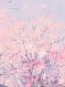 推原创文和英美同人文