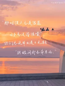 再见了，我爱的人