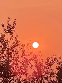 偶练：不负韶华