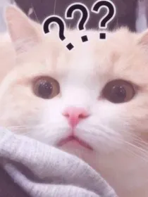 综漫：请你们都来爱我