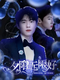 开端：夕阳无限好