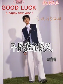 不是我而是风