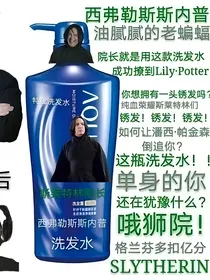 HP：当一群斯吹穿越了会怎样？