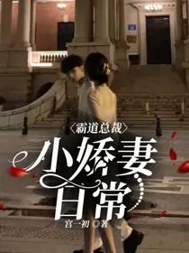 霸道总裁：小娇妻日常
