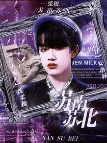张极：苏南苏北