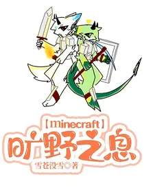 minecraft：旷野之息